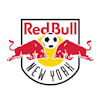 New York Red Bulls